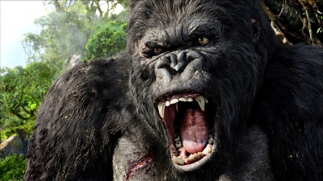 Phim King Kong phần 2 chuẩn bị quay tại Việt Nam